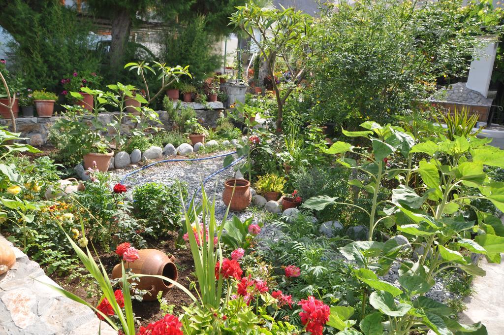 Paralia Guest House Agia Roumeli Exterior foto